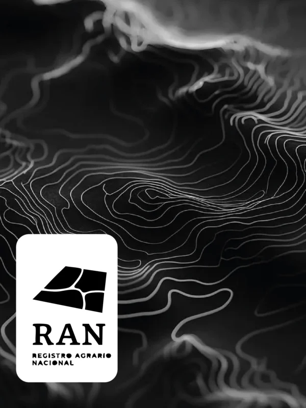 [ S5 ] Lectura de SUPERFICIES con SISTEMA RAN